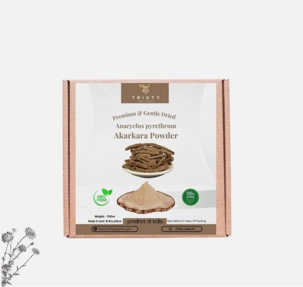 Anacyclus pyrethrum Akarkara Powder Pellitory Organic Indian 100gm